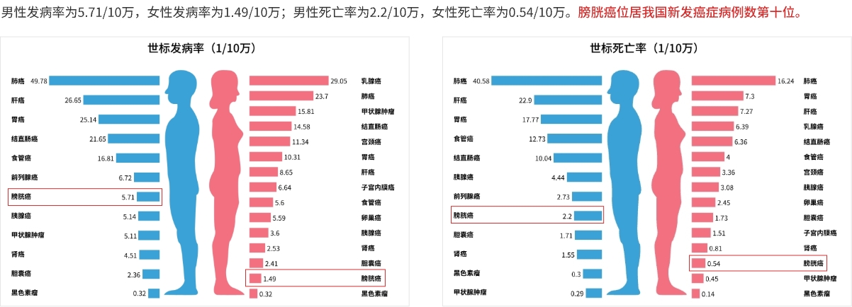 发病率.jpg
