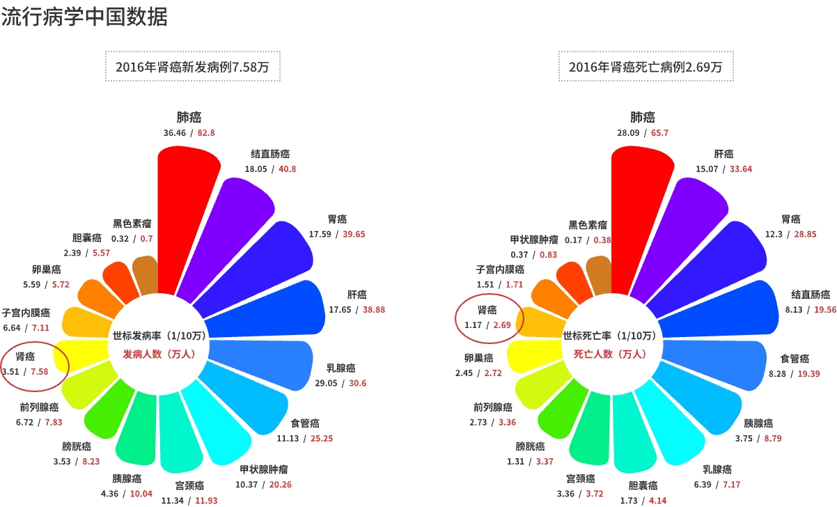 中国数据.jpg