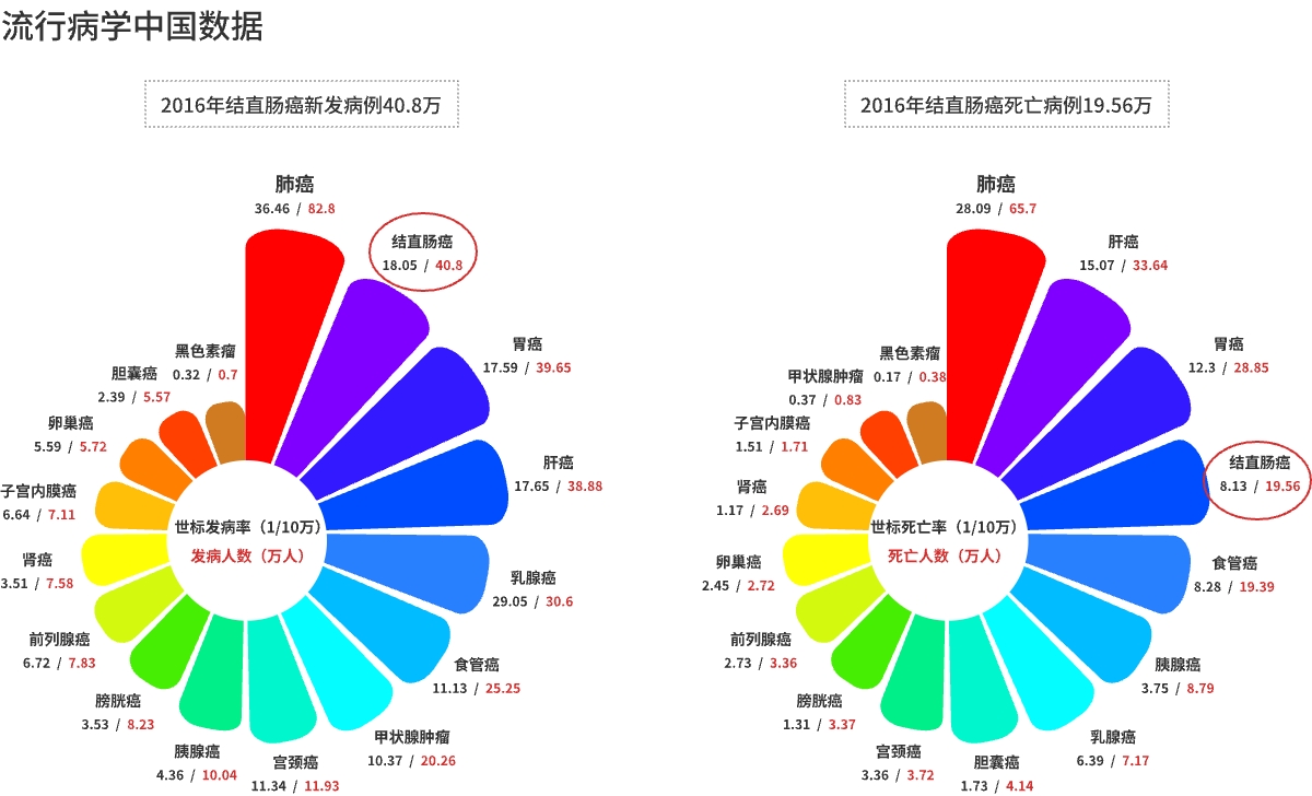 中国数据.jpg